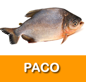 PACO
