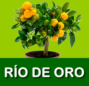 RÍO DE ORO