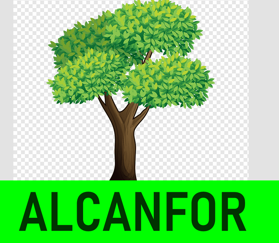 ALCANFOR